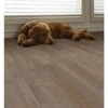 SMARTCORE 11-Piece 5-in X 48.03-in Madison Walnut Luxury Vinyl Plank Flooring -Arbor Home Sales Store 836212862651 11469864 16ce1c34 fb2e 4595 afcb d377aad24bdc 1800x1800
